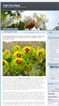 Mobile Screenshot of brightheartsinging.wordpress.com