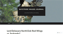 Desktop Screenshot of baystrideimages.wordpress.com