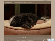 Tablet Screenshot of istvanimaging.wordpress.com