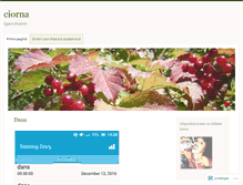 Tablet Screenshot of ciorna.wordpress.com