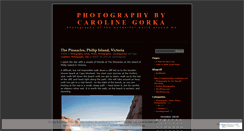 Desktop Screenshot of carolinegorka.wordpress.com