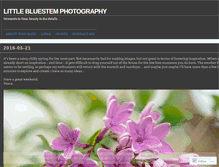 Tablet Screenshot of littlebluestemphotography.wordpress.com