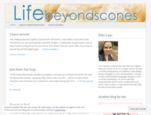 Tablet Screenshot of lifebeyondscones.wordpress.com
