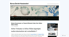 Desktop Screenshot of bursadevlethastaneleri.wordpress.com