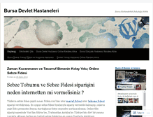 Tablet Screenshot of bursadevlethastaneleri.wordpress.com