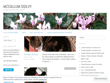 Tablet Screenshot of mccallumogilvy.wordpress.com