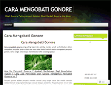 Tablet Screenshot of caramengobatigonoresite.wordpress.com