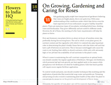 Tablet Screenshot of flowerstoindiahq.wordpress.com