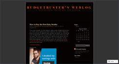 Desktop Screenshot of budgetbuster.wordpress.com