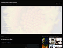 Tablet Screenshot of bjorstad.wordpress.com