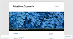 Desktop Screenshot of pninachopp.wordpress.com