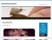 Tablet Screenshot of picturesquepassion.wordpress.com