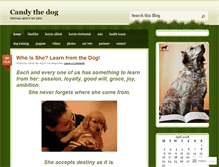 Tablet Screenshot of candythedog.wordpress.com