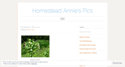 Desktop Screenshot of homesteadanniepics.wordpress.com