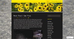 Desktop Screenshot of crescentmoonstudio.wordpress.com