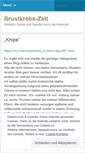 Mobile Screenshot of brustkrebszeit.wordpress.com