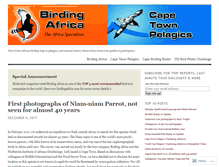 Tablet Screenshot of birdingafricacapetownpelagics.wordpress.com