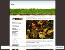 Tablet Screenshot of naplessp.wordpress.com