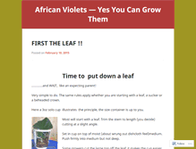 Tablet Screenshot of africanvioletsonabudget.wordpress.com