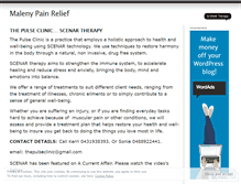 Tablet Screenshot of malenypainrelief.wordpress.com