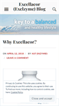 Mobile Screenshot of exclzyme.wordpress.com