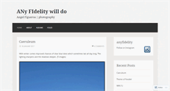 Desktop Screenshot of anyfidelity.wordpress.com