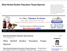 Tablet Screenshot of obatherbalkankerpayudaratanpaoperasiel.wordpress.com