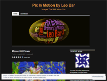 Tablet Screenshot of pixinmotion.wordpress.com