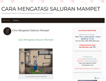 Tablet Screenshot of caramengatasisaluranmampetstarbio1.wordpress.com