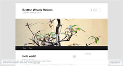 Desktop Screenshot of brettonwoodsreform.wordpress.com