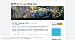 Desktop Screenshot of obatsakitpinggangriki.wordpress.com