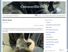 Tablet Screenshot of catonsvillecats.wordpress.com