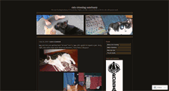 Desktop Screenshot of catscrossing.wordpress.com