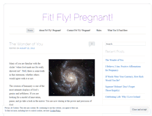 Tablet Screenshot of fitflypregnant.wordpress.com