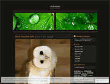 Tablet Screenshot of photoramas.wordpress.com