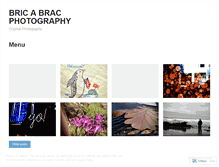 Tablet Screenshot of bricabracphotography.wordpress.com
