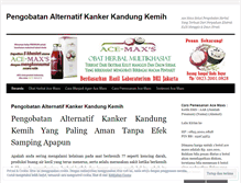 Tablet Screenshot of pengobatanalternatifkankerkandungkemih.wordpress.com