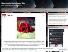 Tablet Screenshot of najmthree.wordpress.com