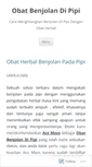 Mobile Screenshot of obatbenjolandipipii.wordpress.com