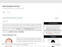 Tablet Screenshot of obatbenjolandipipii.wordpress.com