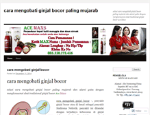 Tablet Screenshot of caramengobatiginjalbocormujarab.wordpress.com