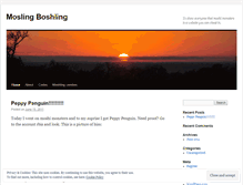 Tablet Screenshot of moshlingboshling.wordpress.com