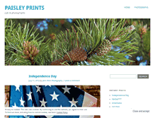 Tablet Screenshot of paisleydesigns.wordpress.com