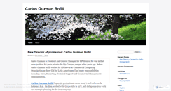 Desktop Screenshot of carlosguzmanbofill.wordpress.com