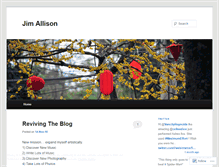 Tablet Screenshot of jimallison.wordpress.com