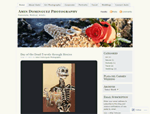 Tablet Screenshot of aminstudio.wordpress.com