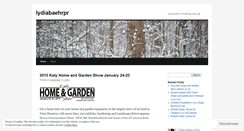 Desktop Screenshot of lydiabaehrpr.wordpress.com