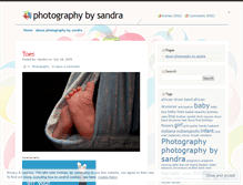 Tablet Screenshot of photographybysandra.wordpress.com