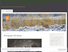 Tablet Screenshot of michaelegordon.wordpress.com