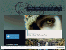 Tablet Screenshot of findthebeauty365.wordpress.com